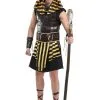 Fun Costumes Ancient Pharaoh Adult Costume -Cosplay Costumes Store adult ancient pharaoh