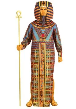 Fun Costumes Adults King Tut Sarcophagus Costume