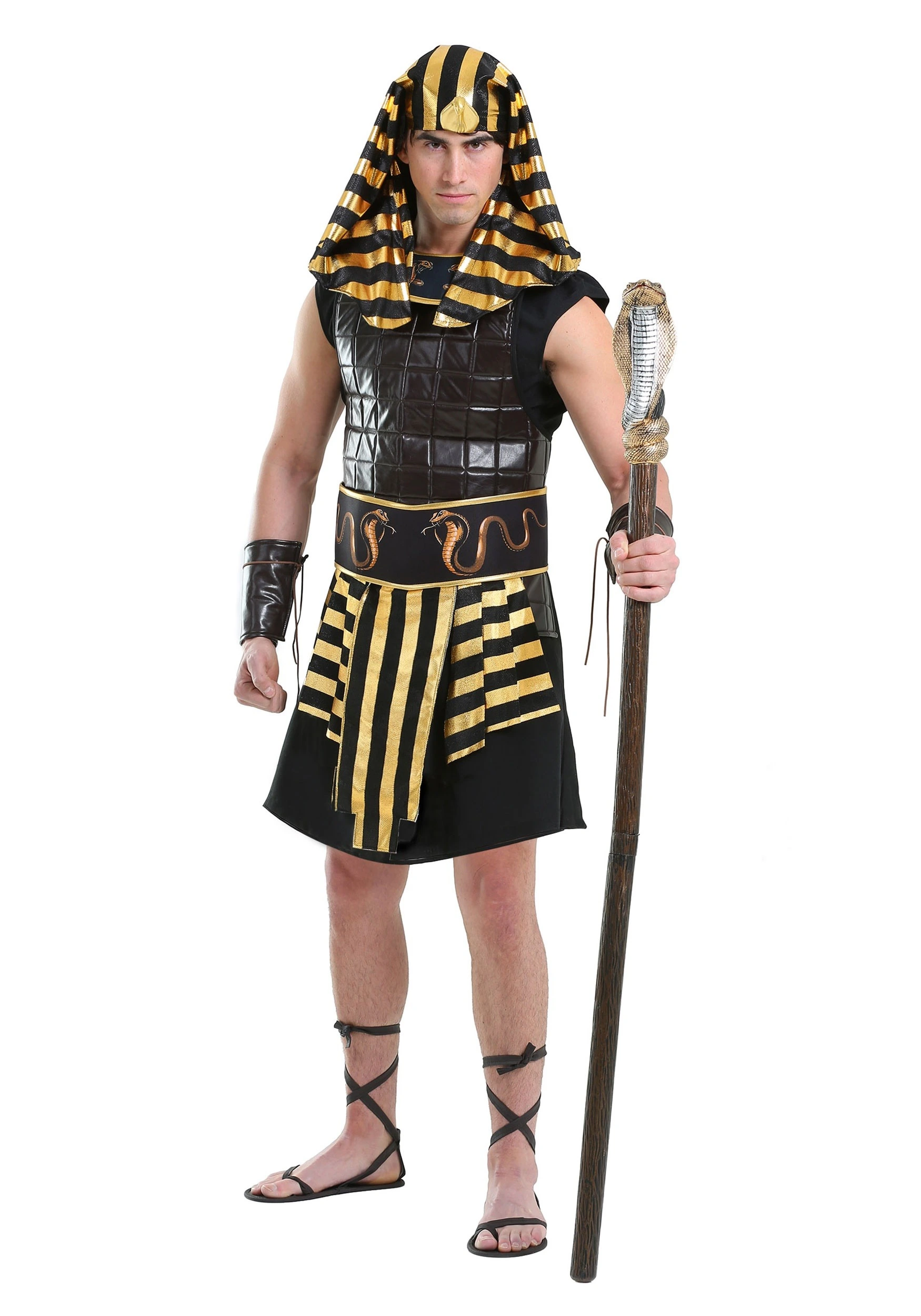 Fun Costumes Ancient Pharaoh Adult Plus Size Costume 3 Fun Costumes Ancient Pharaoh Adult Plus Size Costume