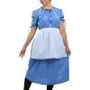 Shangai Jianwuyi Industrial & Commercial Ltd. Amish Prairie Woman Costume