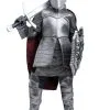 Fun Costumes Royal Knight Kids Costume