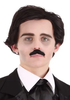 Partytime Costume & Lingerie (Yiwu) Factory Edgar Allan Poe Mustache And Wig