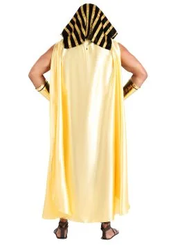 Dreamgirl King Of Egypt Costume -Cosplay Costumes Store king of egypt costume alt 9