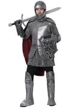 Fun Costumes Royal Knight Costume For Men