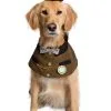 Pet Krewe Steampunk Costume For Pets -Cosplay Costumes Store steam punk pet costume